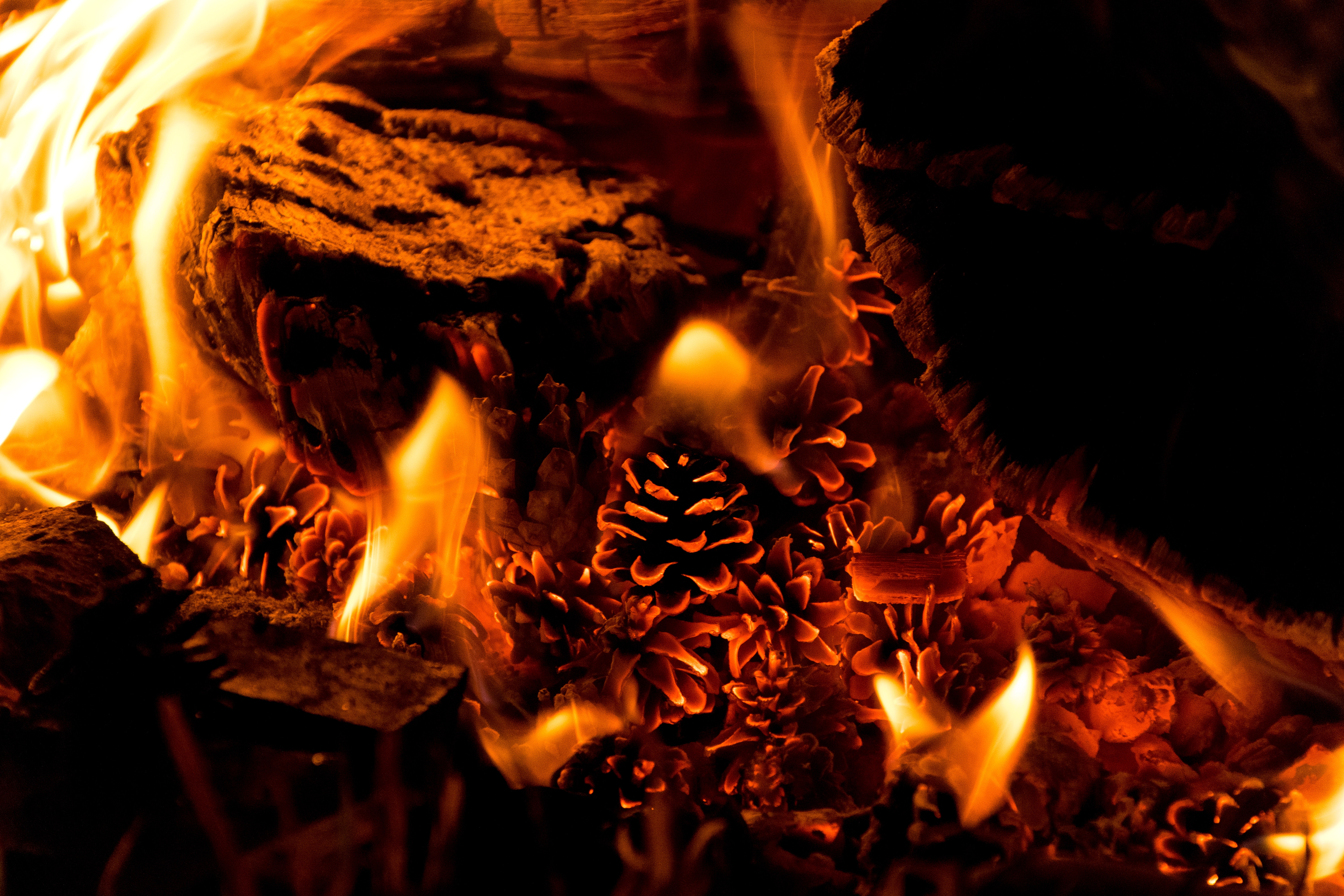 Picture of pinecones burning