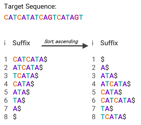 An illustration of GHOSTX and suffix arrays for DNA sequence analysis, by Kelly Shortridge